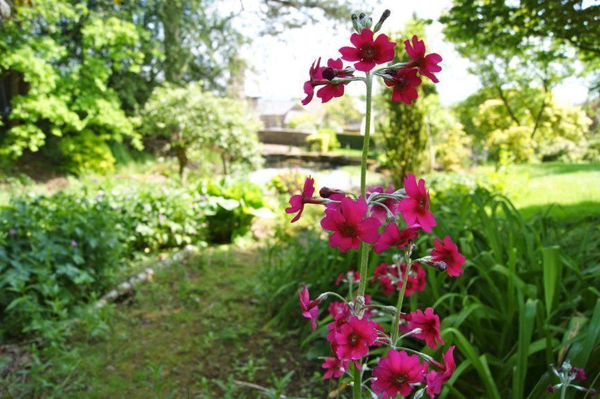 Great Campston & The Billiard Room Gardens