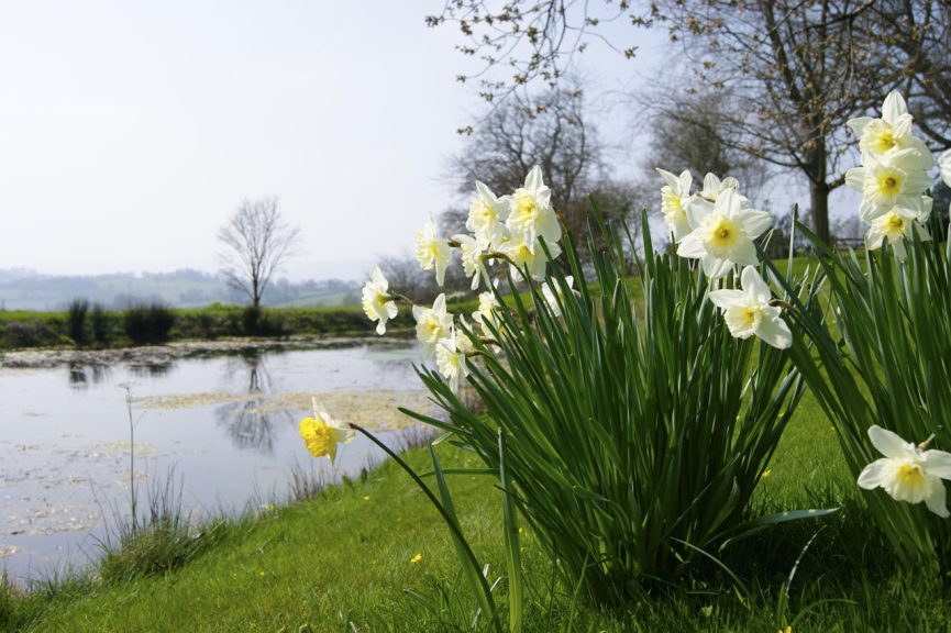 Great Campston & The Billiard Room Gardens