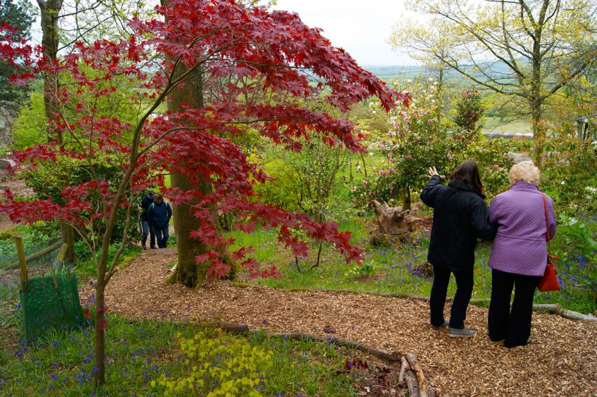 Great Campston & The Billiard Room Gardens