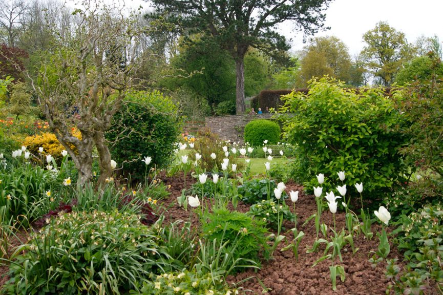 Great Campston & The Billiard Room Gardens