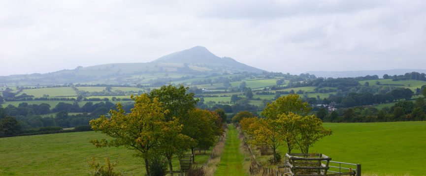 Great Campston & The Billiard Room Gardens